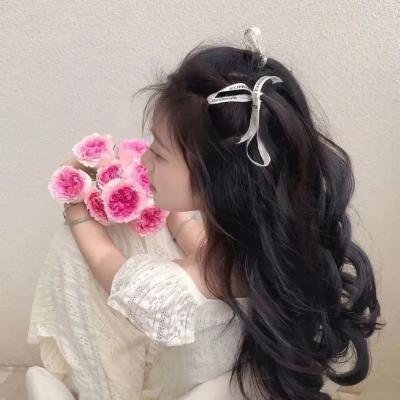 王牌辩士海报