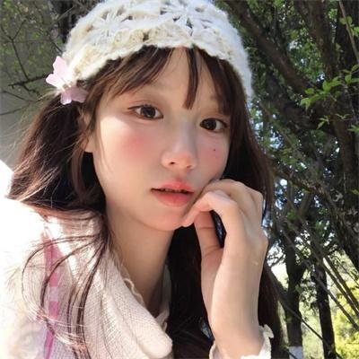 白鹭海报